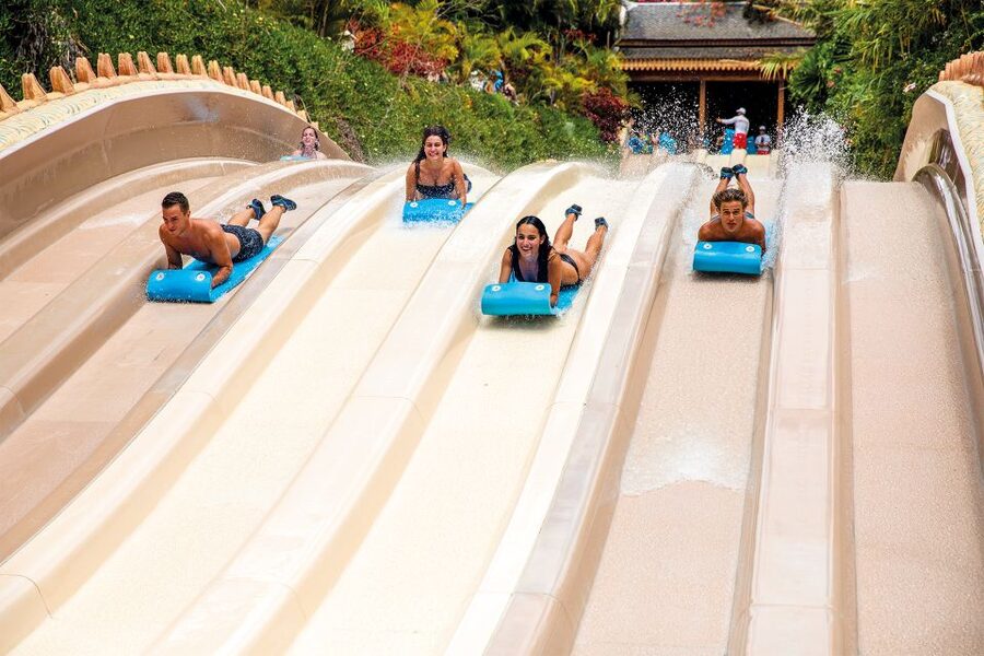 Tenerife: Siam Park Premium Full-Day Experience - Key highlights at a glance