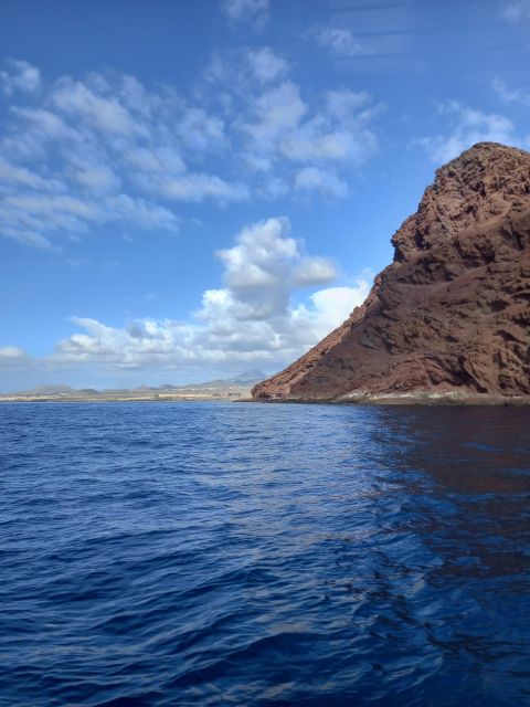 Tenerife south: safari with luxury boat , animals encounters - The swim stop in exclusive bays: the best time to cool off