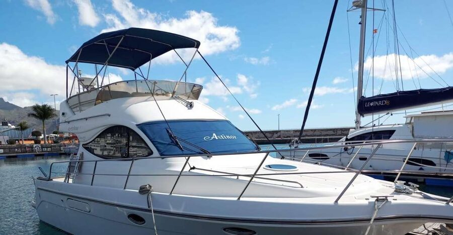 Tenerife south: safari with luxury boat , animals encounters - A two-story luxury boat: comfort that helps you spot wildlife