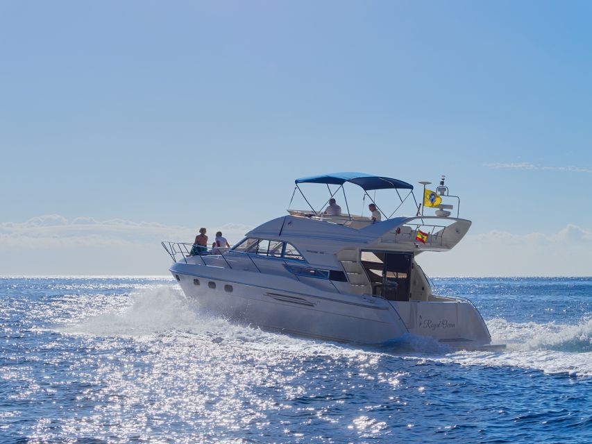 Tenerife: Whales and Snorkeling Tour on a Luxury Yacht - Who This Tour Suits Best (and Who Should Skip It)