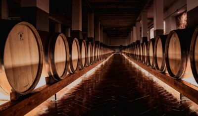 Tenute Girolamo: Winery tour and Premium Tasting in the Itria Valley - Meeting Time and Tour Length: how the 2-hour flow works