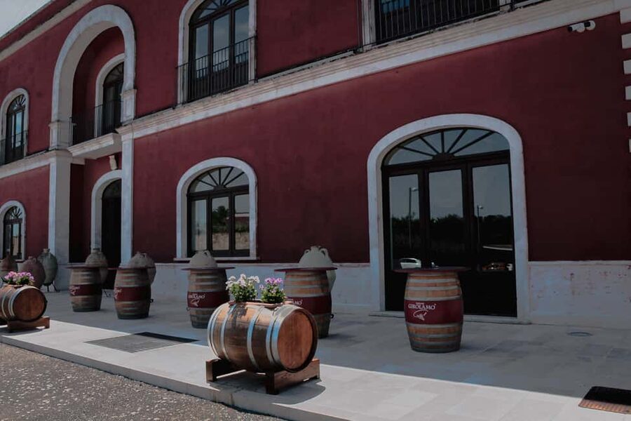 Tenute Girolamo: Winery tour and Premium Tasting in the Itria Valley - The Premium Tasting: 4 Wines Paired with Cold Cuts, Cheese, Friselline, and Focaccia
