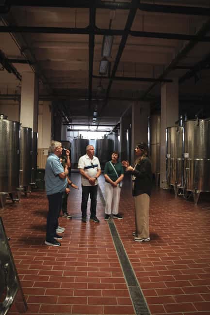 Tenute Girolamo: Winery tour and Premium Tasting in the Itria Valley - Should You Book Tenute Girolamo’s Winery Tour and Premium Tasting?