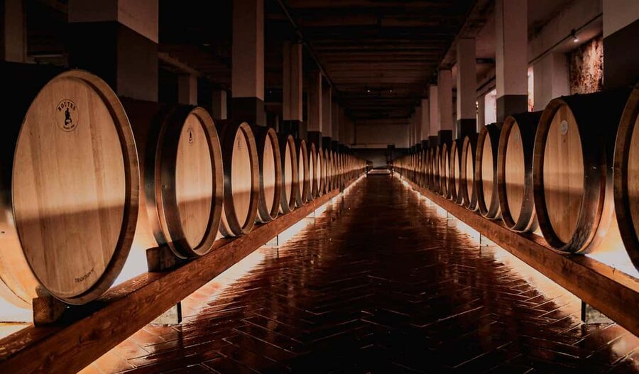 Tenute Girolamo: Winery tour and Premium Tasting in the Itria Valley - Meeting Time and Tour Length: how the 2-hour flow works