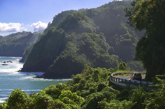 The best half day of your life! Luxury Road to Hana private tour - Key Highlights You’ll Feel Immediately