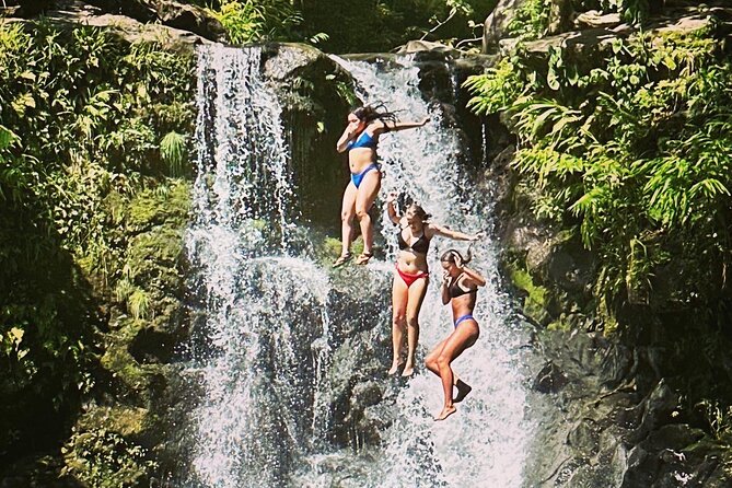 The best half day of your life! Luxury Road to Hana private tour - Bamboo Forest: Your Best Chance to Feel Like You Went Somewhere