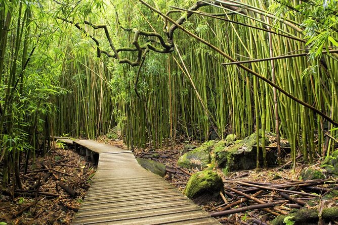 The best half day of your life! Luxury Road to Hana private tour - Ho’okipa Beach Park: Turtles, Wind, and Surf Views Included