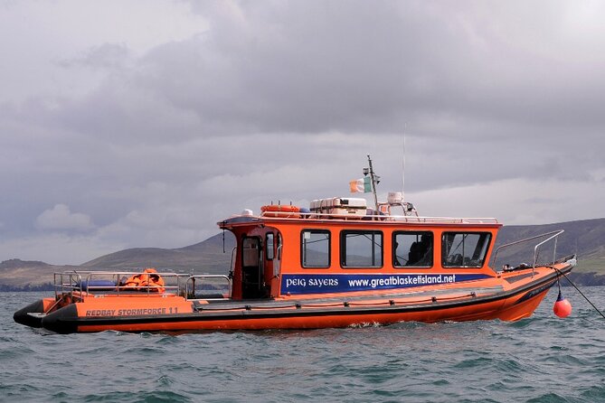 The Great Blasket Island Experience - Premium Tour - Price and value: does $141.49 make sense for your day?