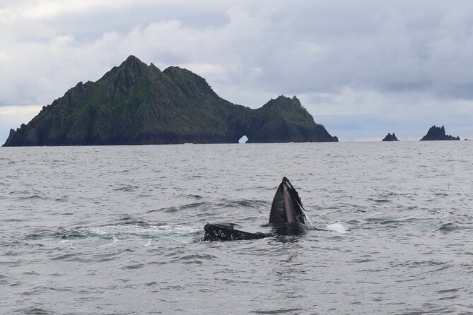 The Great Blasket Island Experience - Premium Tour - Landing on Great Blasket Island: your 3.5 to 4 hour window