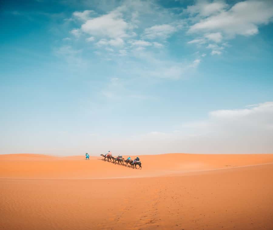 the luxury 2days 1night desert tour from fez to fez/marakech - How This Fez Desert Tour Works in Real Life
