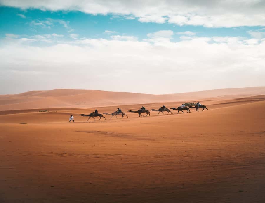 the luxury 2days 1night desert tour from fez to fez/marakech - Tips That Make the Schedule Feel Less Rushed