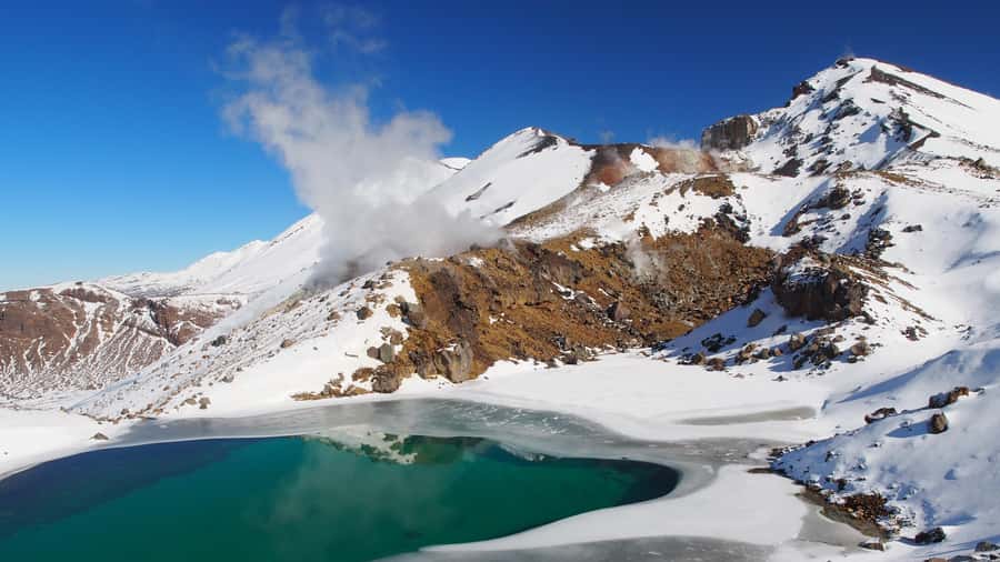 Tongariro Alpine Crossing: Premium Guided Hike - Native bush sections: the underrated part of the crossing