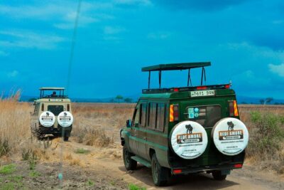 Top Best 5 Days Tanzania Luxury Safari to Serengeti - Arusha pickup and the open-roof 4x4: the ride quality matters
