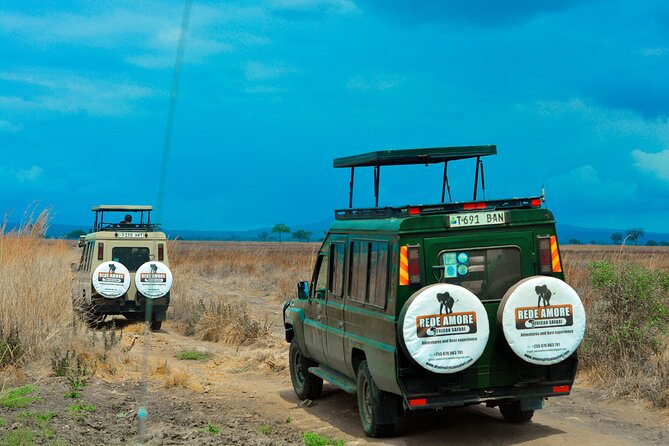 Top Best 5 Days Tanzania Luxury Safari to Serengeti - Arusha pickup and the open-roof 4x4: the ride quality matters