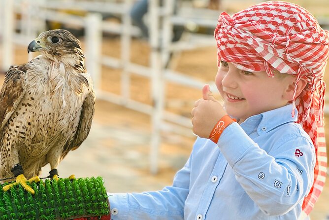 Top premium Desert safari with BBQ DINNER - Camel Ride, Henna, and Shisha: Good Add-Ons, Not Just Tick-Box Fun