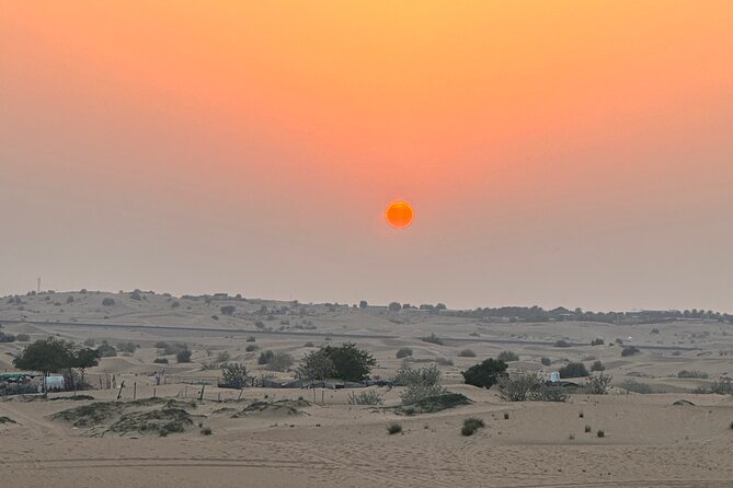 Top premium Desert safari with BBQ DINNER - BBQ Dinner in the Desert: Value, Portion Reality, and Timing