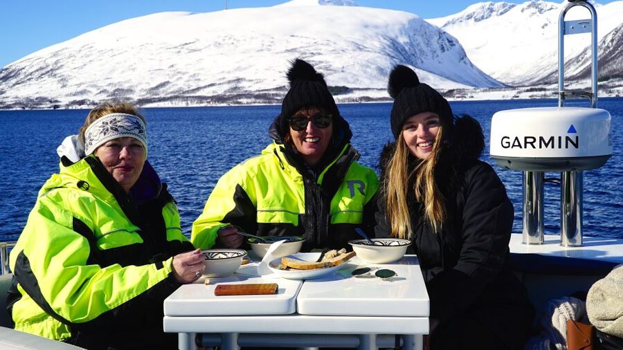 Tromsø: Fjord Cruise by Luxury Yacht - The Arctic route: Grindøya, Håkøya, Sørbotn, and Eidkjosen