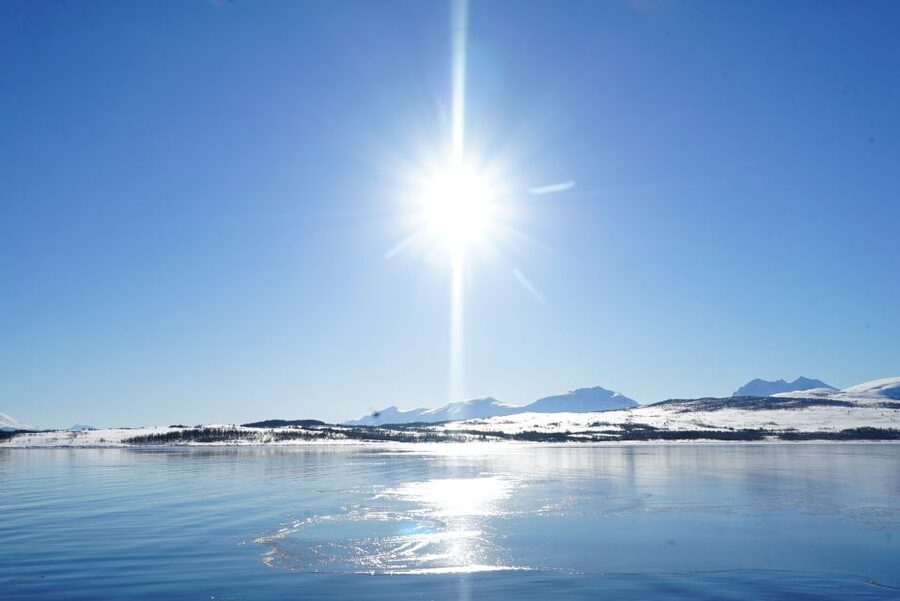 Tromsø: Fjord Cruise by Luxury Yacht - Food and drink: Norwegian fish soup that people remember