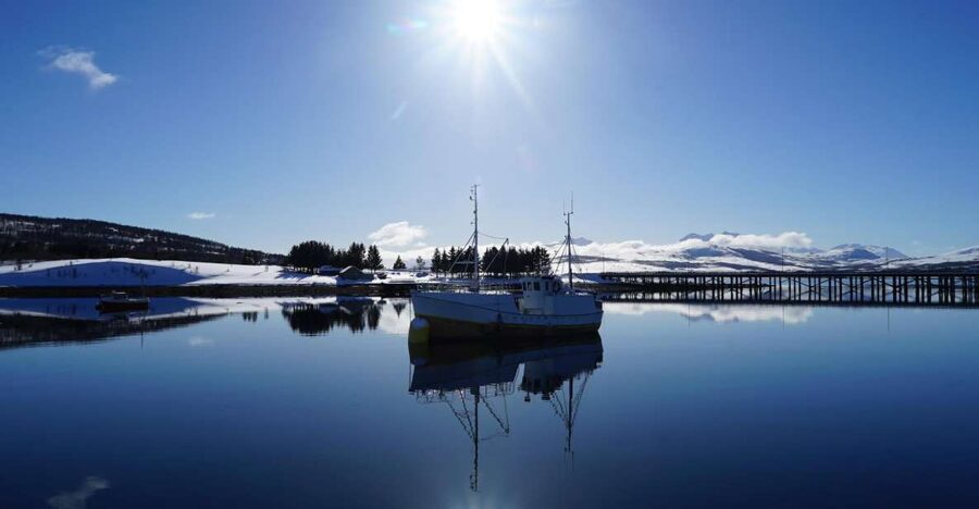 Tromsø: Fjord Cruise by Luxury Yacht - Who should book this Tromsø fjord cruise (and who might skip it)