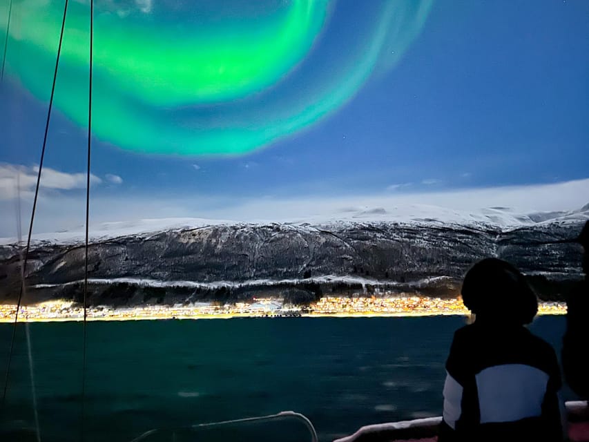Tromso: Luxury Northern Lights Cruise with Hot Tub & Dinner - Price and value: does $309 feel fair for this Tromsø cruise?