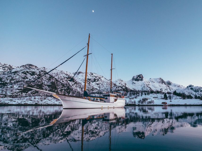 Tromso: Luxury Northern Lights Cruise with Hot Tub & Dinner - Should you book this Tromsø luxury northern lights cruise?
