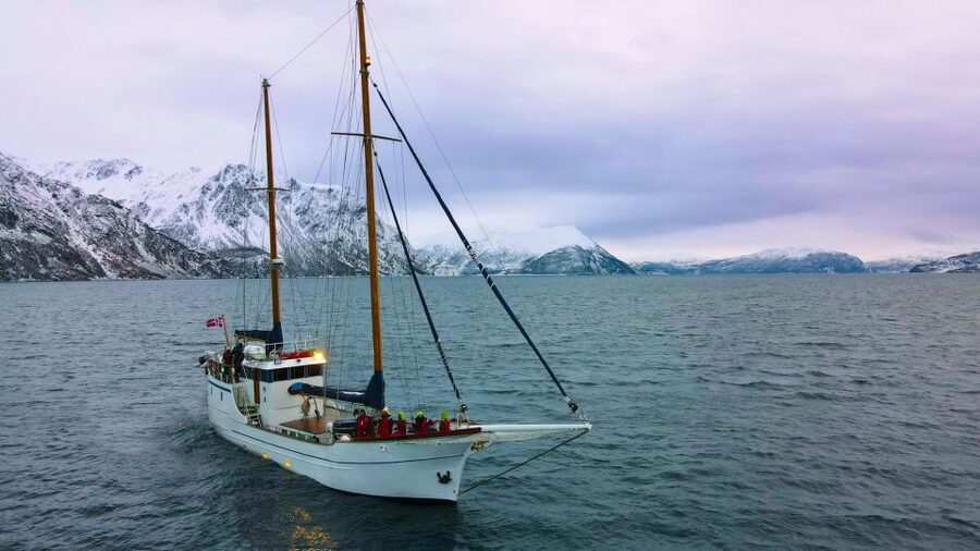 Tromsø: Luxury Polar Fjord Cruise w/ Hot Tub & Polar Plunge - Balsfjorden routing: why the captain changes course for wildlife