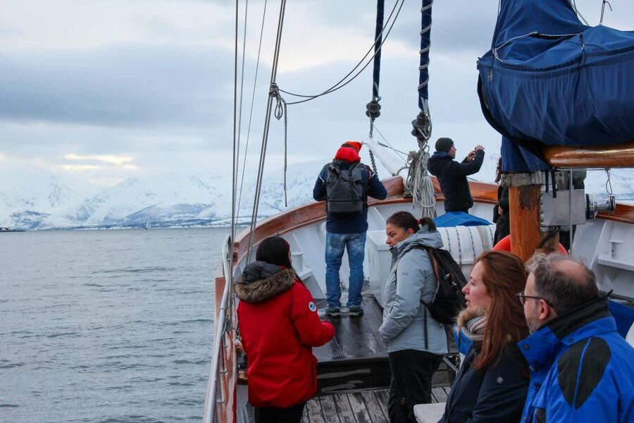 Tromsø: Luxury Polar Fjord Cruise w/ Hot Tub & Polar Plunge - Wildlife spotting on the decks: how to actually enjoy the chances