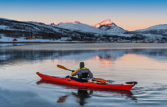 Tromso Luxury Sailing Yacht Polar Fjord Cruise with Lunch - Key things to know before you go