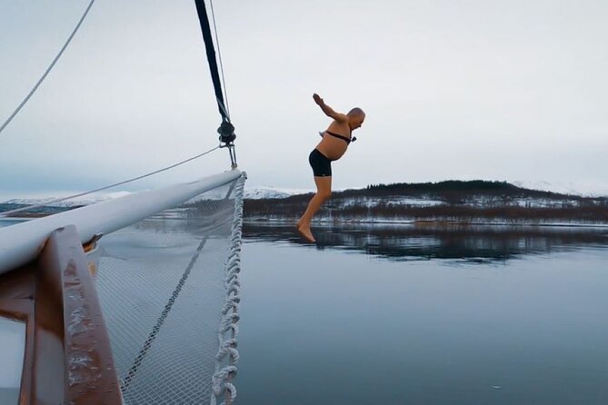 Tromso Luxury Sailing Yacht Polar Fjord Cruise with Lunch - Lunch onboard: reindeer soup that actually earns its spot