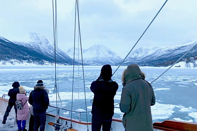 Tromso Luxury Sailing Yacht Polar Fjord Cruise with Lunch - Captain Kenneth and Sachi: what good guiding looks like