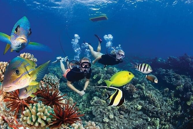 Turtles & Tacos Luxury Catamaran Snorkel - What makes the catamaran feel different from a party boat