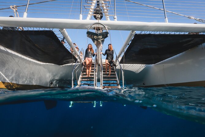 Turtles & Tacos Luxury Catamaran Snorkel - Lunch, margaritas, and the “food after the water” factor