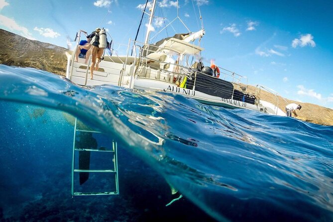Turtles & Tacos Luxury Catamaran Snorkel - Who this tour suits best