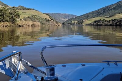 VALE DOURO, Premium Wine Tour, Wine Lunch, Private Boat - The private Douro boat cruise: why one hour feels like enough