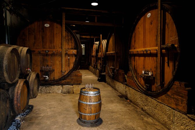 VALE DOURO, Premium Wine Tour, Wine Lunch, Private Boat - The second centenary winery: traditional production and a bigger tasting set