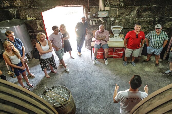 VALE DOURO, Premium Wine Tour, Wine Lunch, Private Boat - Timing, comfort, and what a 10-hour day feels like