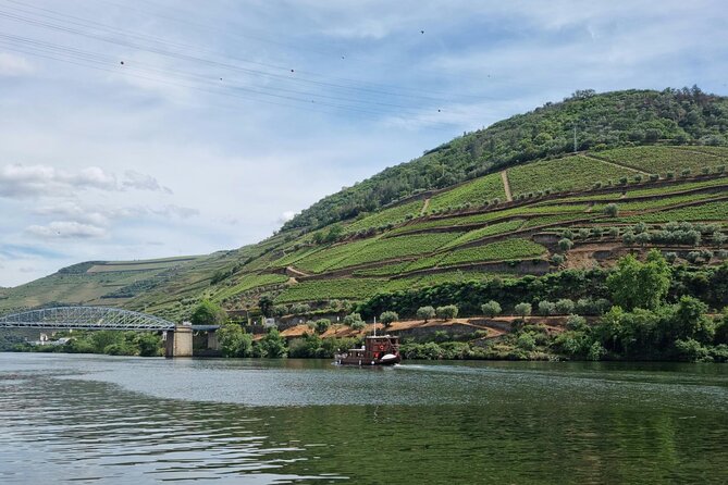 VALE DOURO, Premium Wine Tour, Wine Lunch, Private Boat - Value check: $163.33 per person and what you’re really buying