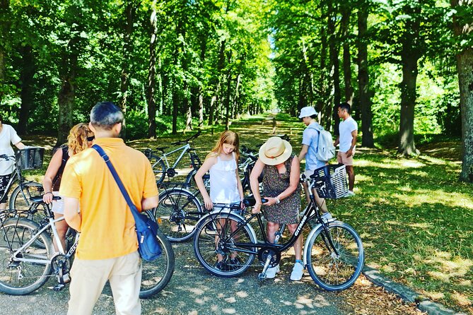 Versailles Golfcart & Bike Guided Tour: Gardens Hamlet Fountains - Le Hameau de la Reine: Marie Antoinette’s village with farm-country charm