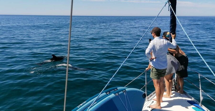 Vilamoura: Coastal Cruise on a Luxury Sailing Yacht - Sailing the Algarve Coastline: Vilamoura to the Albufeira Area