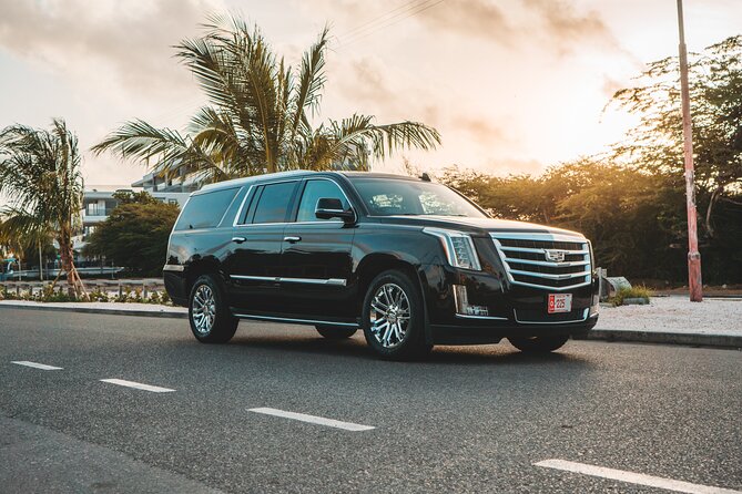VIP Luxury SUV Airport Transfer - The Drive to Your Resort: AC Comfort and a Chauffeur Who Keeps It Easy