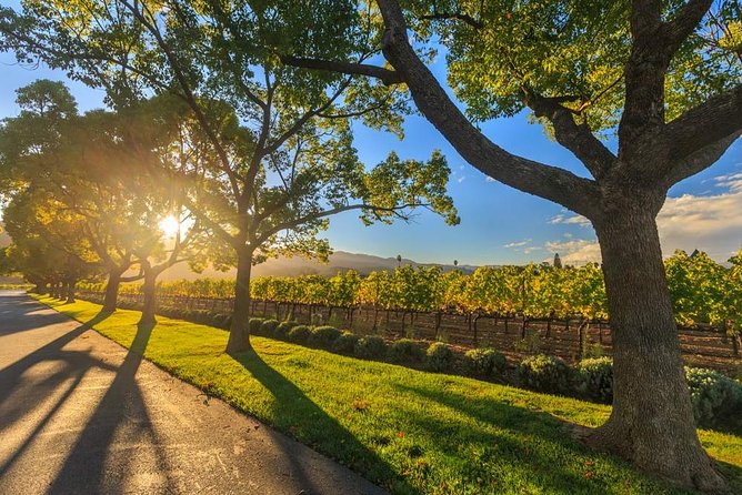 VIP Swan Valley Wine Tour - Premium Small Group Wine & Gourmet Experience - Perth to Swan Valley: The Pace and What Fills the Gaps