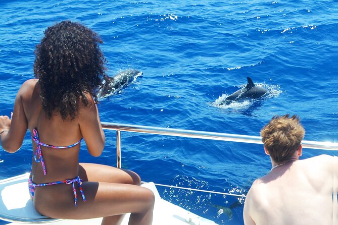 VipDolphins Luxury Whale Watching - Leaving the marina: what the “whale search” feels like