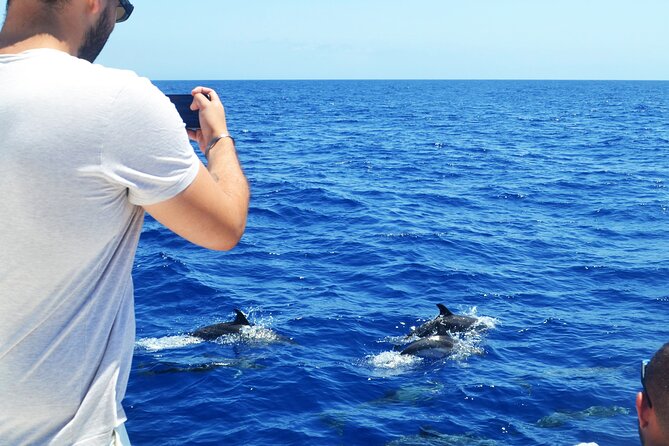 VipDolphins Luxury Whale Watching - Snacks and drinks on board: why it changes the whole trip
