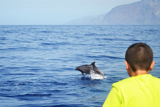VipDolphins Luxury Whale Watching - The Cabo Girão swim and snorkeling stop: scenic water with actual use