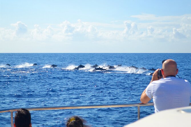 VipDolphins Luxury Whale Watching - Comfort on a catamaran: when “smooth” doesn’t happen