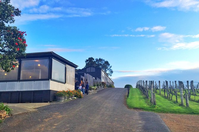 Waiheke Island Premium Wine Tour with Tastings - Key things to know before you go