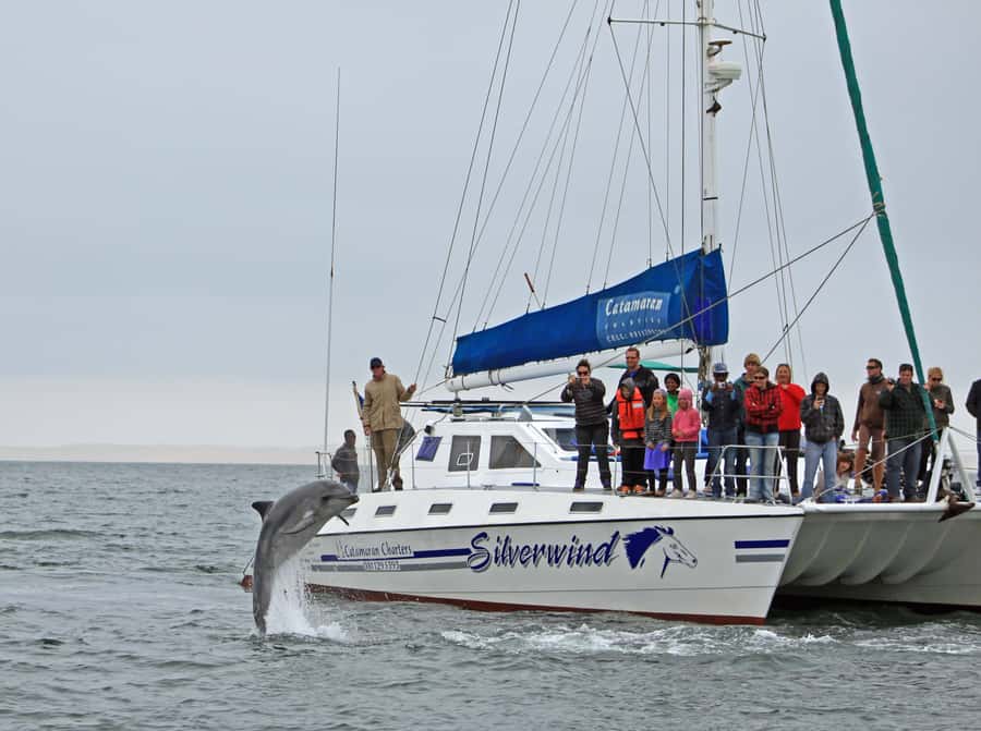 Walvis Bay: Marine Big 5 Luxury Catamaran Tour - Wildlife watching that actually helps: how to get more from the hunt