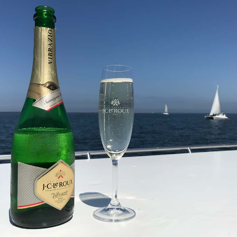 Walvis Bay: Marine Big 5 Luxury Catamaran Tour - Final verdict: should you book the Walvis Bay Big 5 catamaran tour?