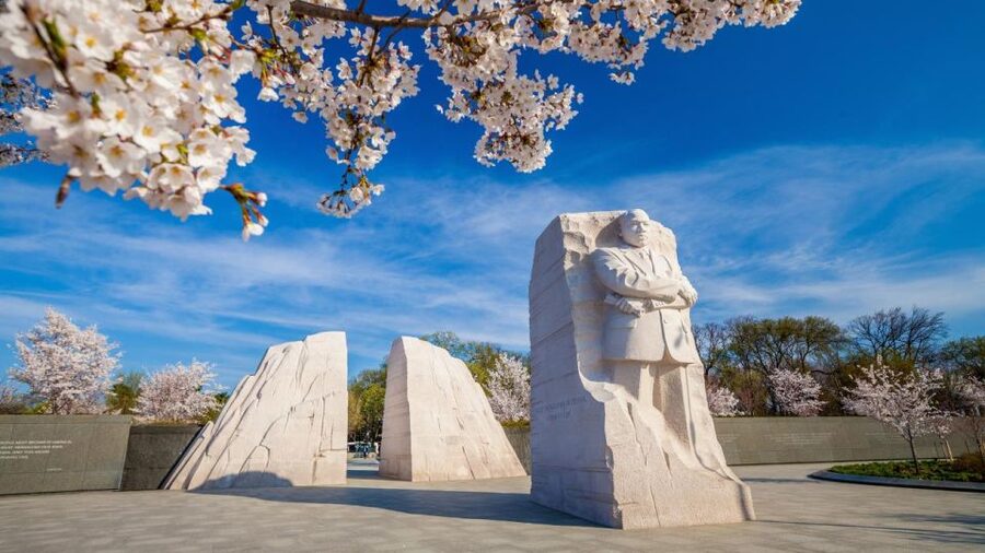 Washington DC: Private Tour with Luxury Vehicle - How the guide actually changes the feel of the day