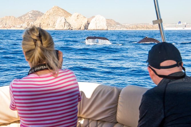 Whale Watching in Cabo San Lucas on board our Luxury Trimaran! - Cabo’s Short Whale Season: January Through April
